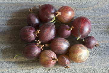 Gooseberry
