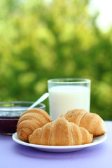Delicious croissants with jam dish and glass of milk on a background of nature