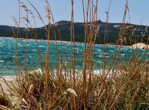 T&uuml;rkises Meer hinter Halmen