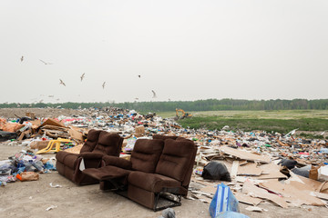 horizontal image of an adult male dumping out a can full of garbage at a huge land fill in the...