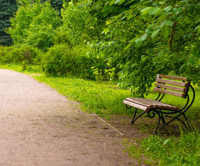 Fototapeta premium wooden bench at a park