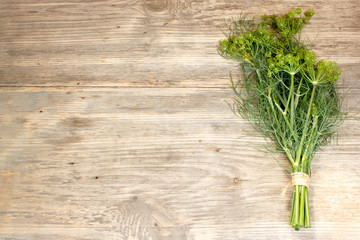 Fresh dill sprigs on wooden. Copy space to right.