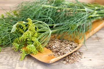 Foto op Aluminium dill and seeds on a wooden spoon © Koirill