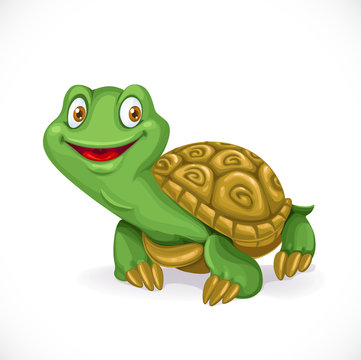 Cute little cartoon turtle isolated on white background