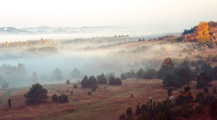 Mgły © Aleksandra Madejska