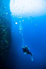 Obraz na płótnie Canvas diver blue water scuba diving bunaken indonesia sea reef ocean
