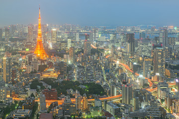 Fototapeta premium Tokyo tower at night in Tokyo, Japan