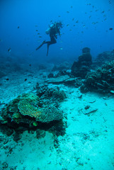 Fototapeta na wymiar diver blue water scuba diving bunaken indonesia sea reef ocean