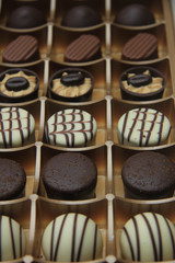 Chocolate candies in a box