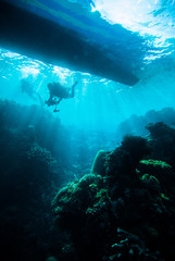 Fototapeta na wymiar diver blue water scuba diving bunaken indonesia sea reef ocean