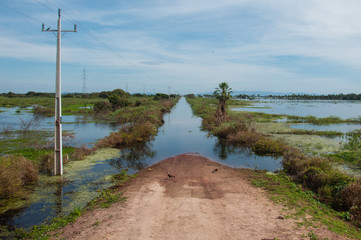 Flooded route in the South Pantanal of Brazil