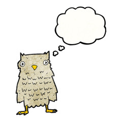 cartoon owl