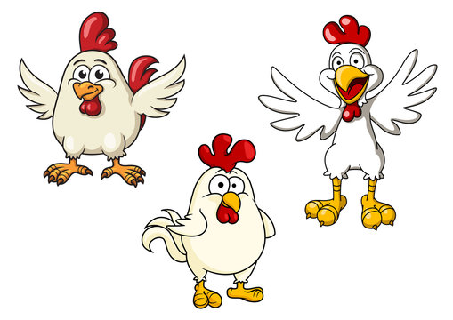 White roosters and cocks cartoon characters