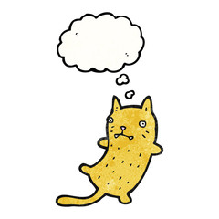 funny cartoon cat