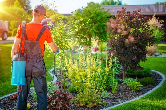 Gardener with Pests Spray