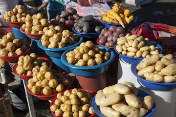 portions of potato in the Andean market, Ecuador of potato in th