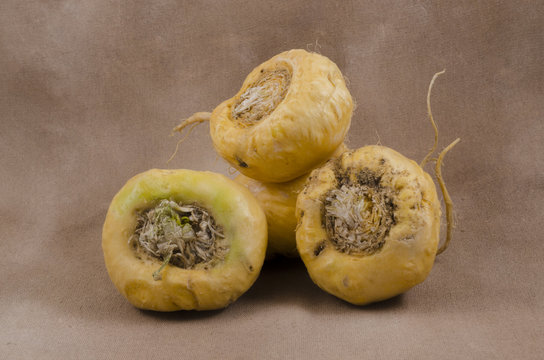 Maca Lepidium meyenii