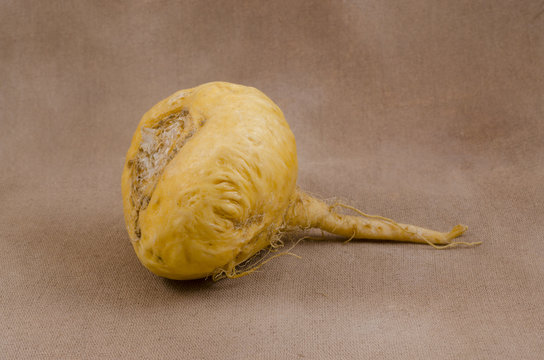 Maca Lepidium meyenii