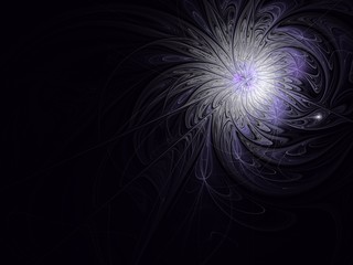 fractal flower