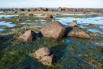 Williams town beach in Melbourne, Australia.