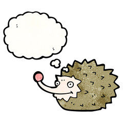 funny cartoon hedgehog with thought bubble
