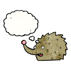funny cartoon hedgehog with thought bubble