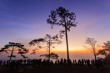 Wild twilight time at Phu Kradueng National Park, Thailand