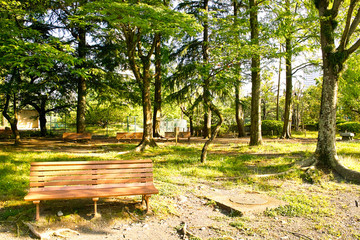 静岡　駿府城公園、森林とベンチ