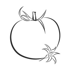 Black and white outline of tomato and tomato flower