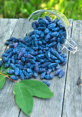 Pile of honeyberry with leaves on planks