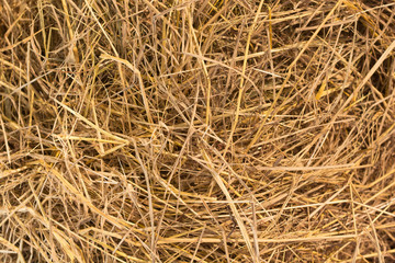 Straw background