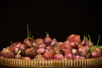 shallot