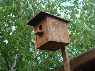 birdhouse