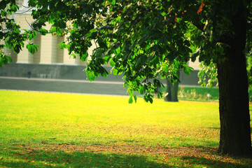 summer sunset landscape fantastic