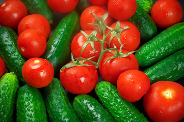 Tomatoes and cucumbers