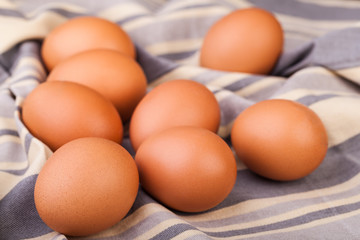 eggs