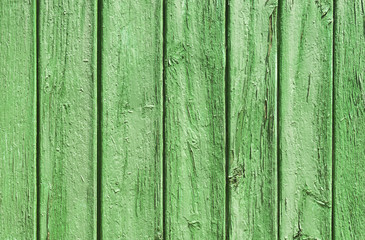 Fototapeta na wymiar Hintergrund Holz Oberfläche Farbe Grün