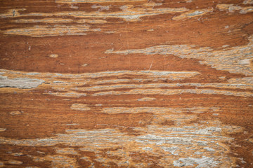 Old Wood Texture , background vintage style