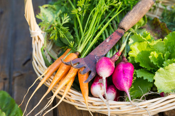 Fresh vegetables in a basket