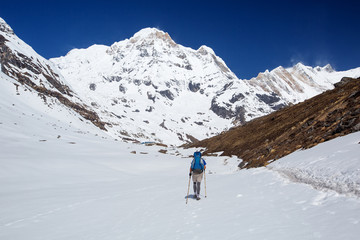 Fototapeta na wymiar Hiker on the trek in Himalayas, Anapurna valley, Nepal