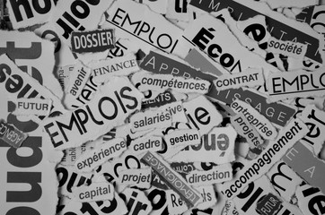 COUPURES de PRESSE - EMPLOIS