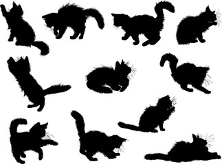 eleven small black kittens on white