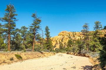 Mountains of Red Canyon