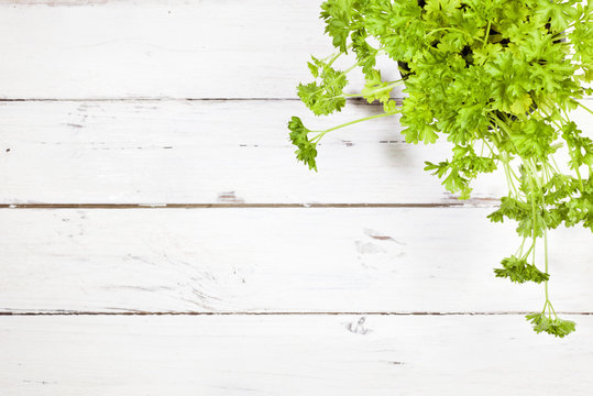Parsley plant on rustic white table, top view