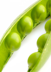 pea pod on a white background
