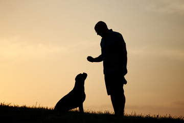 Hund und Herrchen als Silhouette bei Sonnenuntergang