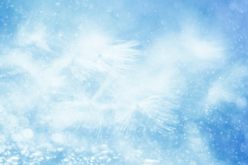 blue bokeh background blur motion