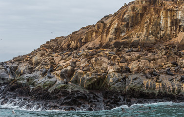 Palomino island, a Sea Lion rock
