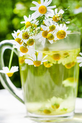 camomile tea