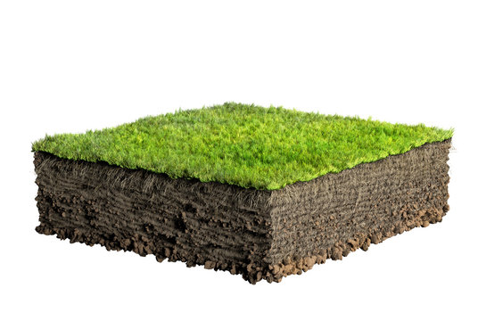 grass and soil profile